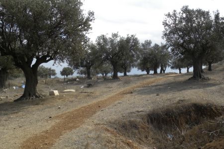 Stopping by the Road to Bethlehem