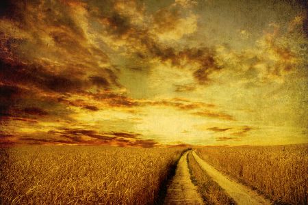 Long Road Home