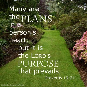 Proverbs 19:21 Best-Laid Plans