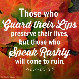 Proverbs 13:3 on Pinterest