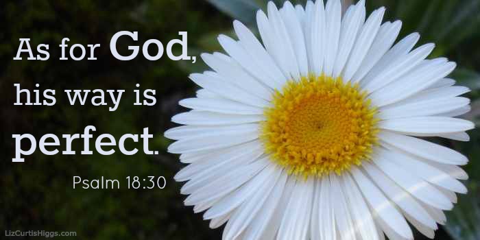 "His way is Perfect" Psalm 18:30