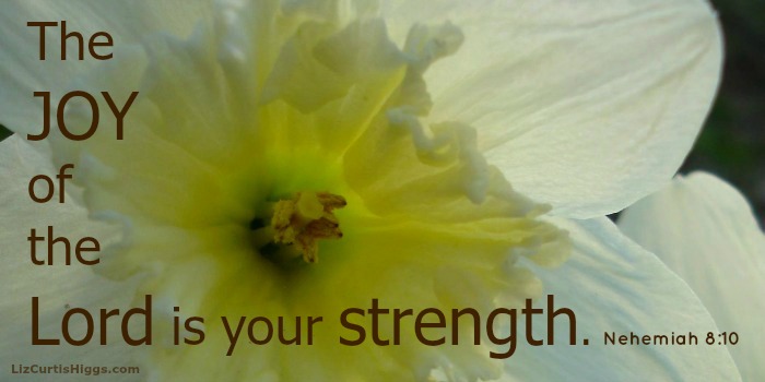 "The joy of the Lord is your strength." Nehemiah 8:10