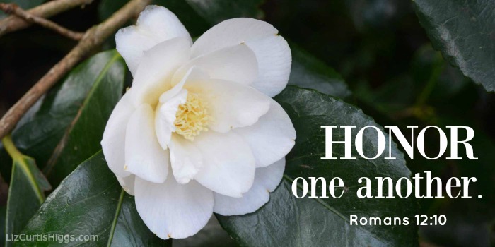Honor one another. Romans 12-10