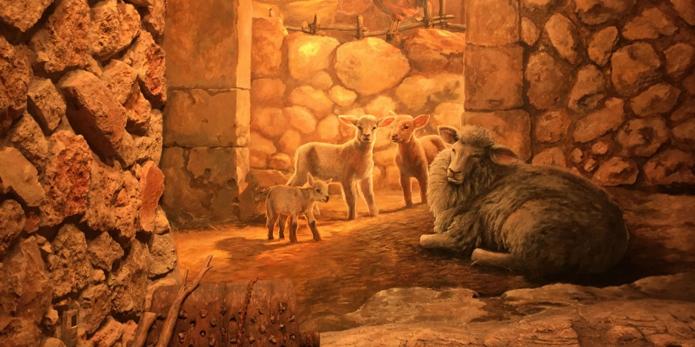 Museum of the Bible Sheep Resting In Stable