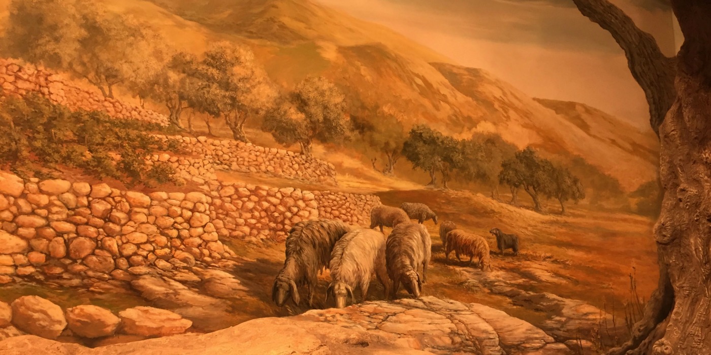 Museum of the Bible Sheep Grazing on Hills
